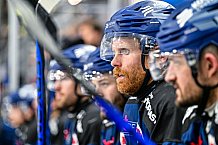 Eishockey, Herren, Penny DEL, Playoffs, Halbfinale, Spiel 2, Saison 2023-2024, Straubing Tigers - Eisbären Berlin, n03.04.2024