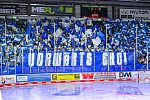 Eishockey, Herren, Penny DEL, Playoffs, Viertelfinale, Spiel 3, Saison 2023-2024, Straubing Tigers - Schwenninger Wild Wings,22.03.2024
