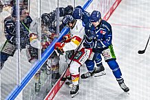 Eishockey, Men, DEL, Penny DEL, Hauptrunde Saison 2024-25, 1. Spieltag, Straubing Tigers - Düsseldorfer EG, 20.09.2024