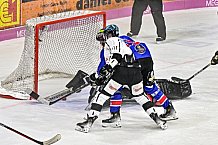 Herren, Eishockey, Oberliga-Sued, Saison 2023-2024, DEB, Deggendorfer SC - Bayreuth Tigers, 1. Spieltag, 28.09.2023