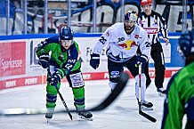 Eishockey, Herren, DEL, Saison 2022-2023, Hauptrunde, Straubing Tigers - EHC Red Bull München, 13. Spieltag, 21.10.2022