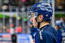 Eishockey, Men, DEL, Penny DEL, Hauptrunde Saison 2024-25, 8. Spieltag, Straubing Tigers - Adler Mannheim, 11.10.2024