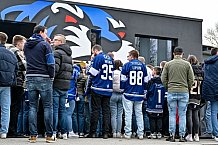 Eishockey, Herren, Penny DEL, Playoffs, Viertelfinale, Spiel 5, Saison 2023-2024, Straubing Tigers - Schwenninger Wild Wings,26.03.2024