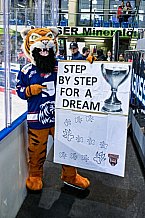 Eishockey, Herren, Penny DEL, DEL, Saison 2022-2023, Playoffs, Viertelfinale, Spiel 1, Straubing Tigers - Grizzlys Wolfsburg, 14.03.2023