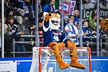 Eishockey, Herren, DEL, Saison 2021-2022, 24.10.2021