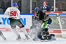 Eishockey, Herren, Penny DEL, 34. Spieltag, Saison 2023-2024, Straubing Tigers - Augsburger Panther,03.01.2024
