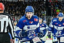 Eishockey, Herren, Penny DEL, 11. Spieltag, Saison 2023-2024, Straubing Tigers - Koelner Haie,15.10.2023