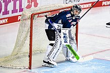 Eishockey, DEL, Penny-DEL, Vorbereitung, Gäubodencup 2021, 15.08.2021