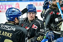 Eishockey, Herren, Penny DEL, 12. Spieltag, Saison 2023-2024, Straubing Tigers - Duesseldorfer EG,20.10.2023