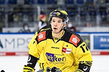 Eishockey, Herren, DEL, Saison 2020-2021, Straubing Tigers - Krefeld Pinguine, 07.04.2021