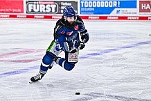 Eishockey, Herren, Penny DEL, Playoffs, Viertelfinale, Spiel 1, Saison 2023-2024, Straubing Tigers - Schwenninger Wild Wings,16.03.2024
