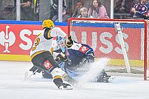 Eishockey, Men, CHL, Champions Hockey League, Regular Saison 2024-25, Game Day 2, Straubing Tigers - Skelleftea AIK, 08.09.2024