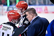 Eishockey, Herren, Penny DEL, DEL, Saison 2022-2023, Playoffs, Viertelfinale, Spiel 5, Straubing Tigers - Grizzlys Wolfsburg, 24.03.2023
