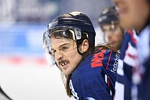 Straubing Tigers - ERC Ingolstadt