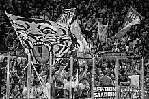 Eishockey, Herren, Penny DEL, Playoffs, Halbfinale, Spiel 4, Saison 2023-2024, Straubing Tigers - Eisbären Berlin, n07.04.2024