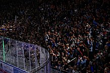 Eishockey, Men, DEL, Penny DEL, Hauptrunde Saison 2024-25, 1. Spieltag, Straubing Tigers - Düsseldorfer EG, 20.09.2024