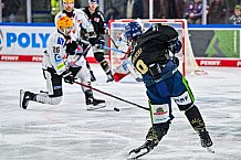 Eishockey, Herren, Penny DEL, 22. Spieltag, Saison 2023-2024, Straubing Tigers - Fischtown Pinguins Bremerhaven,26.11.2023