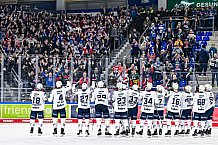 Eishockey, Herren, Penny DEL, 32. Spieltag, Saison 2023-2024, Straubing Tigers - Adler Mannheim,28.12.2023