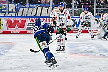 Eishockey, Herren, Penny DEL, 40. Spieltag, Saison 2023-2024, Straubing Tigers - Augsburger Panther,21.01.2024