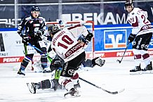 Eishockey, Herren, DEL, Saison 2020-2021, Straubing Tigers - Kölner Haie, 11.04.2021