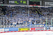 Eishockey, Herren, Penny DEL, Playoffs, Halbfinale, Spiel 4, Saison 2023-2024, Straubing Tigers - Eisbären Berlin, n07.04.2024