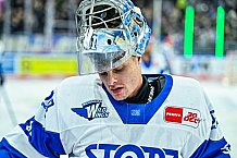 Eishockey, Herren, Penny DEL, 16. Spieltag, Saison 2023-2024, Straubing Tigers - Schwenninger Wild Wings,31.10.2023