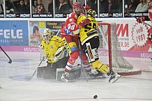 Herren, Eishockey, Oberliga-Süd, DEB, Saison 2024-2025, Deggendorfer SC - Tölzer Löwen, 22.09.2024