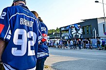 Eishockey, Men, CHL, Champions Hockey League, Regular Saison 2024-25, Game Day 1, Straubing Tigers - SonderjyskE Vojens, 06.09.2024