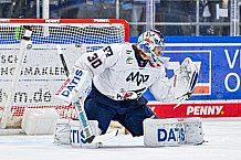Eishockey, Herren, Penny DEL, 44. Spieltag, Saison 2023-2024, Straubing Tigers - Adler Mannheim,04.02.2024