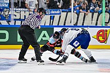 Eishockey, Men, CHL, Champions Hockey League, Regular Saison 2024-25, Game Day 1, Straubing Tigers - SonderjyskE Vojens, 06.09.2024
