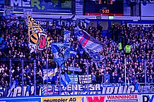 Eishockey, Men, DEL, Penny DEL, Hauptrunde Saison 2024-25, 4. Spieltag, Straubing Tigers - EHC Red Bull München, 29.09.2024
