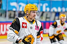 Eishockey, Men, CHL, Champions Hockey League, Regular Saison 2024-25, Game Day 2, Straubing Tigers - Skelleftea AIK, 08.09.2024