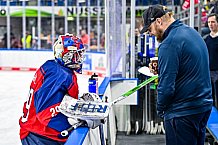 Eishockey, Herren, Penny DEL, Playoffs, Halbfinale, Spiel 2, Saison 2023-2024, Straubing Tigers - Eisbären Berlin, n03.04.2024