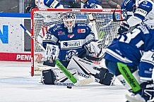Eishockey, Herren, Penny DEL, 29. Spieltag, Saison 2023-2024, Straubing Tigers - Schwenninger Wild Wings,21.12.2023