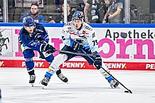 Eishockey, Herren, Penny DEL, Saison 2024-2024, Vorbereitung, Gäubodencup 2024, Straubing Tigers - ERC Ingolstadt, 29.08.2024
