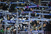 Eishockey, Herren, DEL, Saison 2021-2022, 17.10.2021