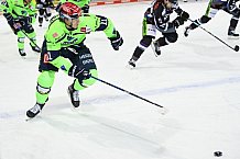 Eishockey, Herren, DEL, Saison 2020 2021, Straubing Tigers - ERC Ingolstadt, 31.01.2021