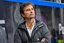 Eishockey, Herren, Penny DEL, 32. Spieltag, Saison 2023-2024, Straubing Tigers - Adler Mannheim,28.12.2023