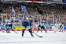 Eishockey, Herren, Penny DEL, Playoffs, Halbfinale, Spiel 4, Saison 2023-2024, Straubing Tigers - Eisbären Berlin, n07.04.2024