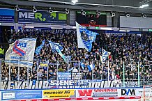 Eishockey, Men, DEL, Penny DEL, Hauptrunde Saison 2024-25, 8. Spieltag, Straubing Tigers - Adler Mannheim, 11.10.2024