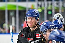 Eishockey, Herren, Penny DEL, 22. Spieltag, Saison 2023-2024, Straubing Tigers - Fischtown Pinguins Bremerhaven,26.11.2023