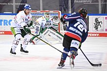 Straubing Tigers - Augsburger Panther