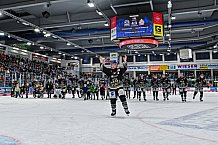 Eishockey, Herren, Penny DEL, 22. Spieltag, Saison 2023-2024, Straubing Tigers - Fischtown Pinguins Bremerhaven,26.11.2023