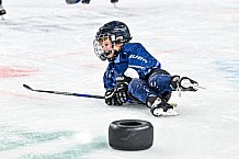 Eishockey, Men, DEL, Penny DEL,  Straubing Tigers - Kids on Ice, 28.09.2024