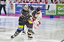 Herren, Eishockey, Oberliga-Süd, Saison 2022-2023, DEB, Deggendorfer SC - EV Herne Miners, Playoff, Viertelfinale, Spiel 4, 04.04.2023