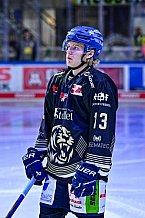 Eishockey, Herren, Penny DEL, 12. Spieltag, Saison 2023-2024, Straubing Tigers - Duesseldorfer EG,20.10.2023