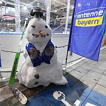 Eishockey, Herren, DEL, Saison 2020 2021, Straubing Tigers - Schwenninger Wild Wings, 25.01.2021