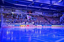 Eishockey, Herren, Penny DEL, Playoffs, Viertelfinale, Spiel 1, Saison 2023-2024, Straubing Tigers - Schwenninger Wild Wings,16.03.2024