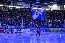 Eishockey, Herren, Penny DEL, Playoffs, Halbfinale, Spiel 2, Saison 2023-2024, Straubing Tigers - Eisbären Berlin, n03.04.2024