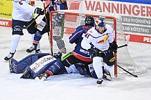 Eishockey, Herren, DEL, Saison 2020-2021, Straubing Tigers - EHC Red Bull München, 22.02.2021